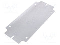 RITTAL 1561700 Asennuslevy 546.4g