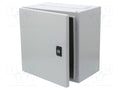 SCHNEIDER ELECTRIC NSYCRN33200P Seinäkaappi 300x300x200mm