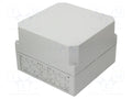 SPELSBERG AKL-2-GH Jakorasia 300x300x209mm