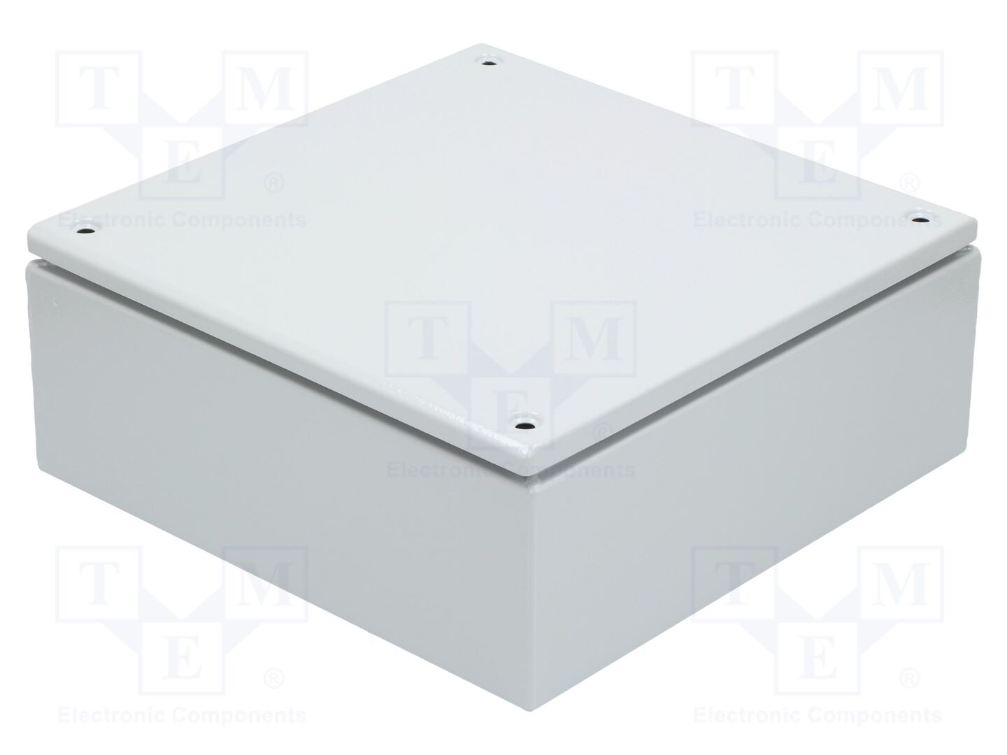 SCHNEIDER ELECTRIC NSYSBM303012 Yleiskotelo 300x300x120mm