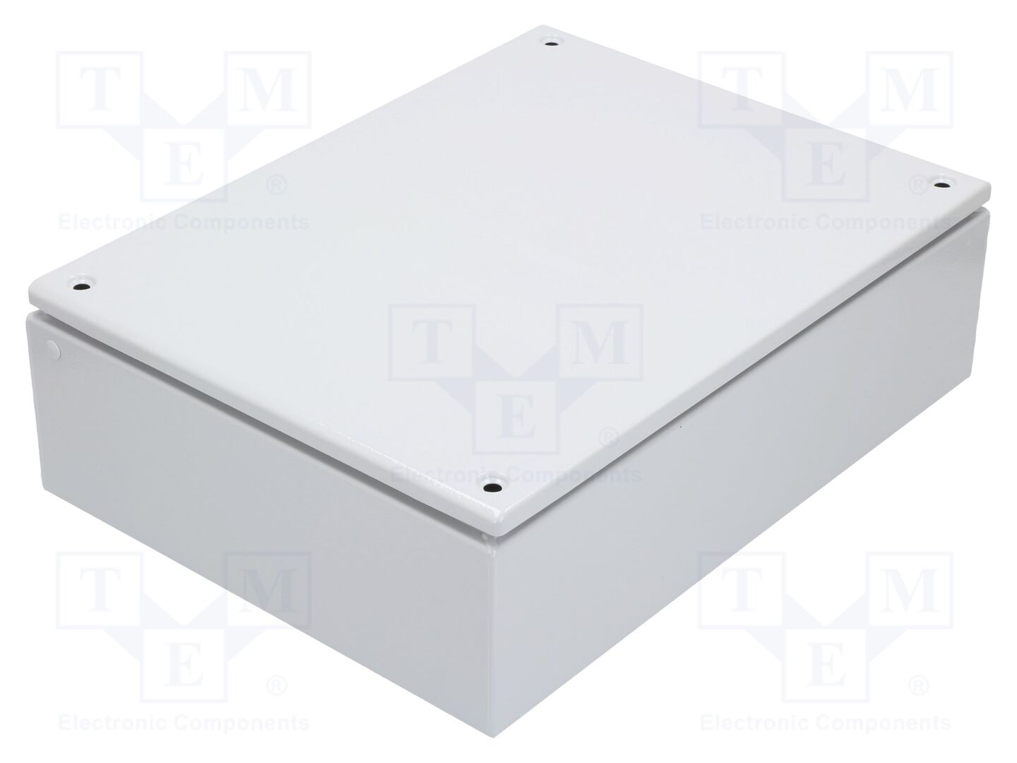 SCHNEIDER ELECTRIC NSYSBM304012 Yleiskotelo 300x400x120mm