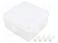 PAWBOL S-BOX 106B Jakorasia 100x100x50mm