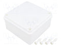 PAWBOL S-BOX 116B Yleiskotelo 100x100x50mm IP65