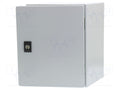 SCHNEIDER ELECTRIC NSYCRN325200P Seinäkaappi 250x300x200mm