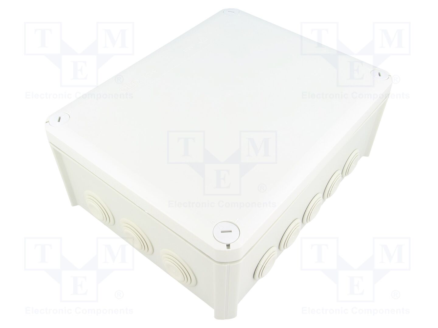 OBO BETTERMANN T 250 Liitosrasia IP66 190x240x95mm