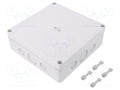 SPELSBERG TK-PC-1818-6F-M Yleiskotelo 180x182x63mm