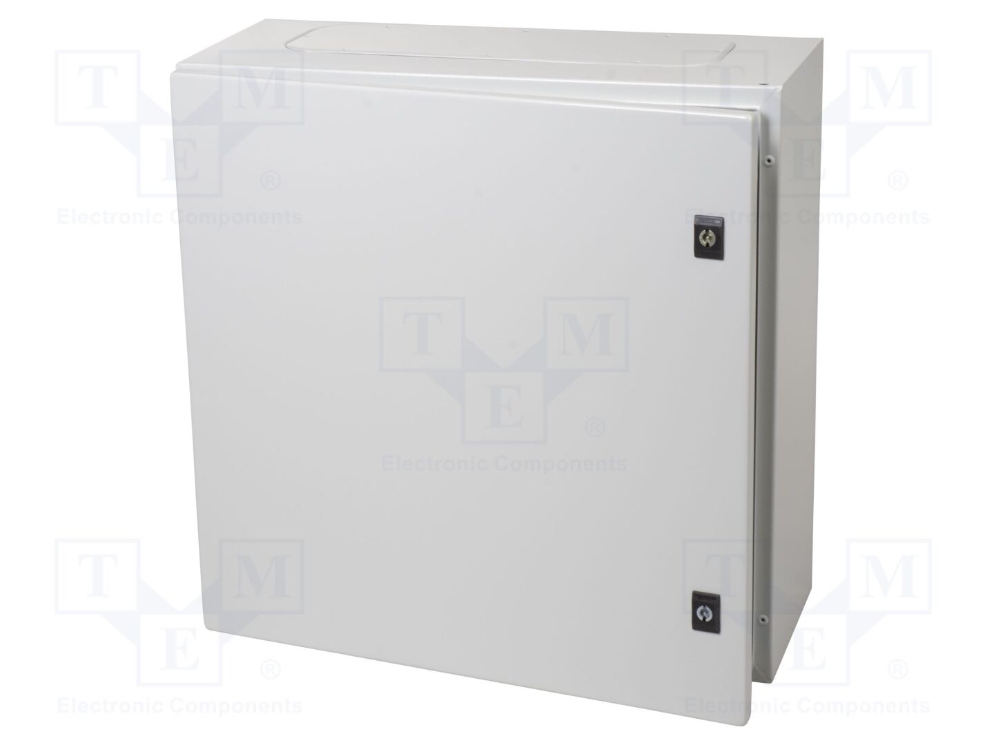 SCHNEIDER ELECTRIC NSYCRN66250P Seinäasennuskotelo 600x600x250mm