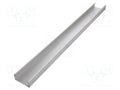 FISCHER ELEKTRONIK GB-82-1000-ME Profiili 1000mm