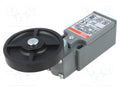 ABB LS31P42B11 Rajakytkin 10A