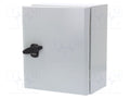 SCHNEIDER ELECTRIC NSYS3D32515P Seinäkaappi 250x300x150mm