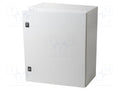 SCHNEIDER ELECTRIC NSYCRN65250P Seinäkaappi 500x600x250mm