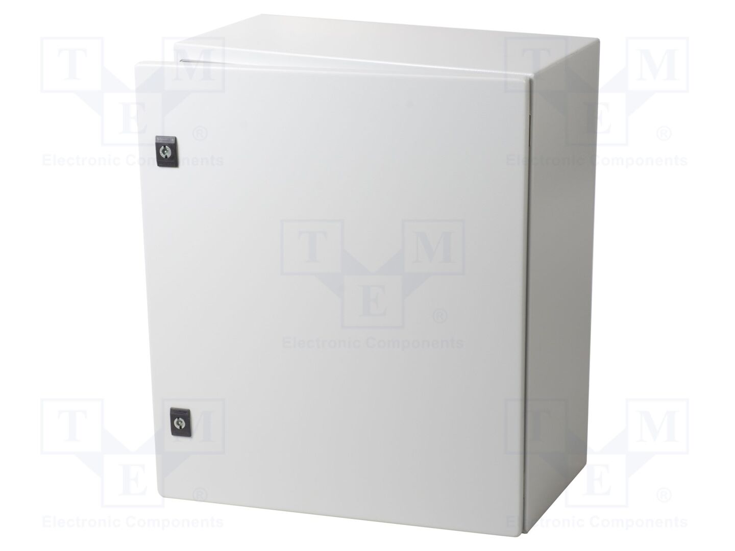 SCHNEIDER ELECTRIC NSYCRN65250P Seinäkaappi 500x600x250mm