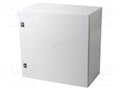 SCHNEIDER ELECTRIC NSYCRN66300P Seinäasennuskotelo 600x600x300mm