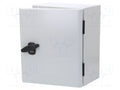 SCHNEIDER ELECTRIC NSYS3DB25315 Seinäkotelo 250x300x150mm