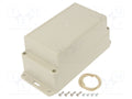 HAMMOND HM-RP1185BF Yleiskotelo 85x165x85mm