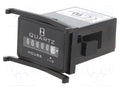 TRUMETER 722-0002 Tuntilaskuri 68.65g