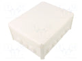 OBO BETTERMANN T 250 RW Jakorasia IP66 190x240x95mm