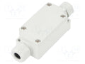 TAKACHI TMC-3PG Jakorasia 33x65x24mm