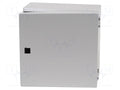 RITTAL 1555.000 Seinäkaappi 300x300x120mm
