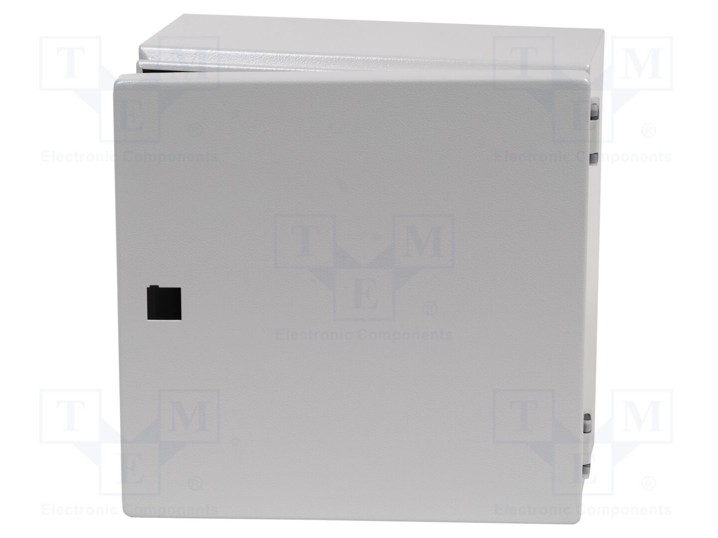 RITTAL 1555.000 Seinäkaappi 300x300x120mm