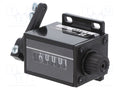 TRUMETER 1-4645 Impulssilaskuri 99999