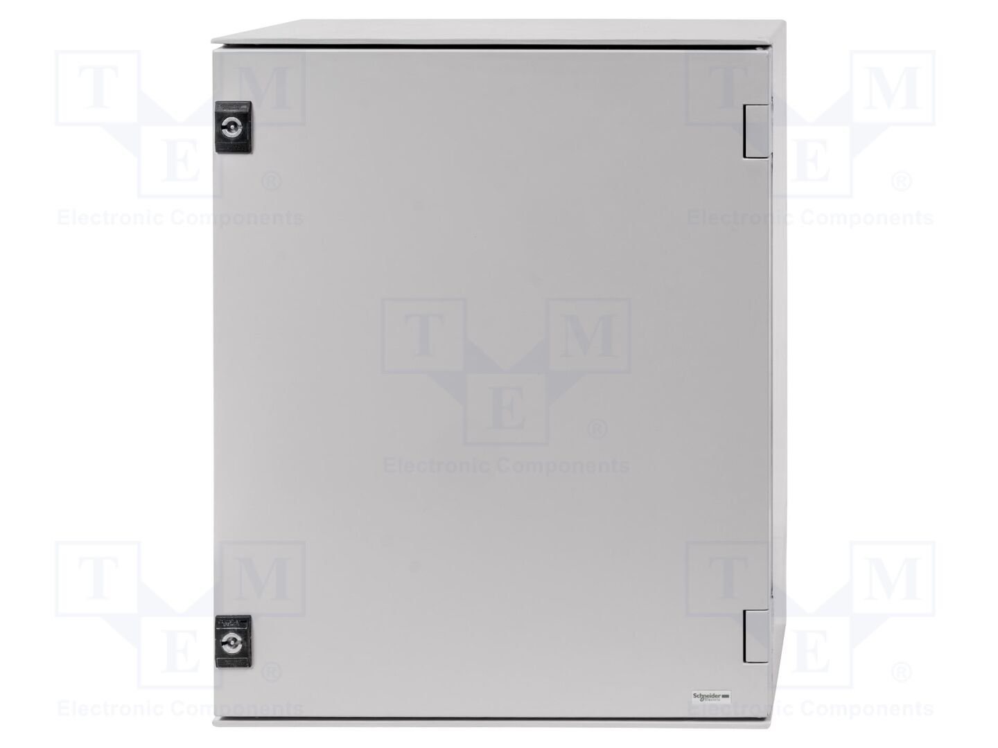 SCHNEIDER ELECTRIC NSYPLM54G Seinäkaappi 430x540x200mm
