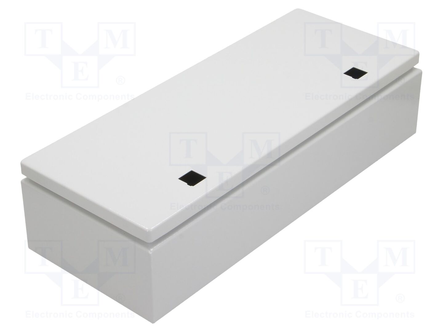 RITTAL 1557000 Seinäkaappi E-BOX KX 200x500x120mm