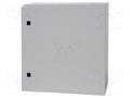 RITTAL 1050000 Seinäkaappi 500x500x210mm