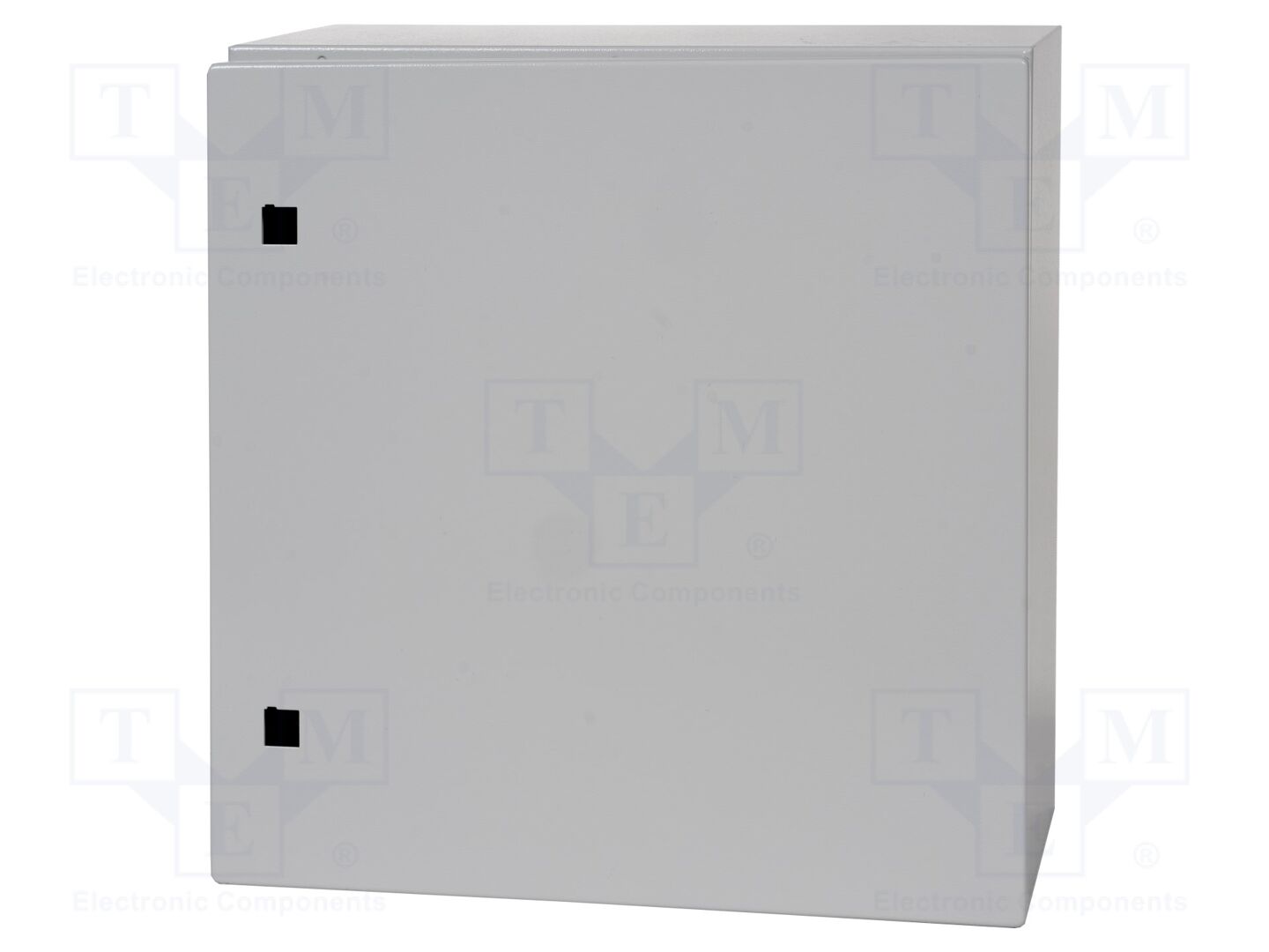 RITTAL 1050000 Seinäkaappi 500x500x210mm