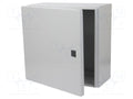 RITTAL 1575000 Seinäkaappi 300x300x155mm