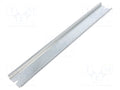 FIBOX TRH2330 DIN-kisko TS35, pituus 285mm