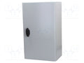 SCHNEIDER ELECTRIC NSYS3D5320P Seinäkaappi 300x500x200mm