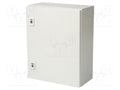 RITTAL 1045000 Seinäkaappi 400x500x210mm