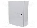 RITTAL 1577000 Seinäkaappi 300x400x155mm