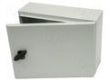 SCHNEIDER ELECTRIC NSYS3D3415P Seinäkaappi 300x400x150mm
