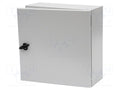 SCHNEIDER ELECTRIC NSYS3D5520P Seinäkaappi 500x500x200mm