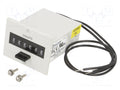 TRUMETER P2-4906 Impulssilaskuri 999999