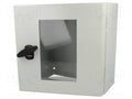 SCHNEIDER ELECTRIC NSYS3D3315T Seinäkaappi 300x300x150mm