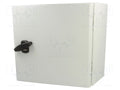 SCHNEIDER ELECTRIC NSYS3D3315P Seinäkaappi 300x300x150mm