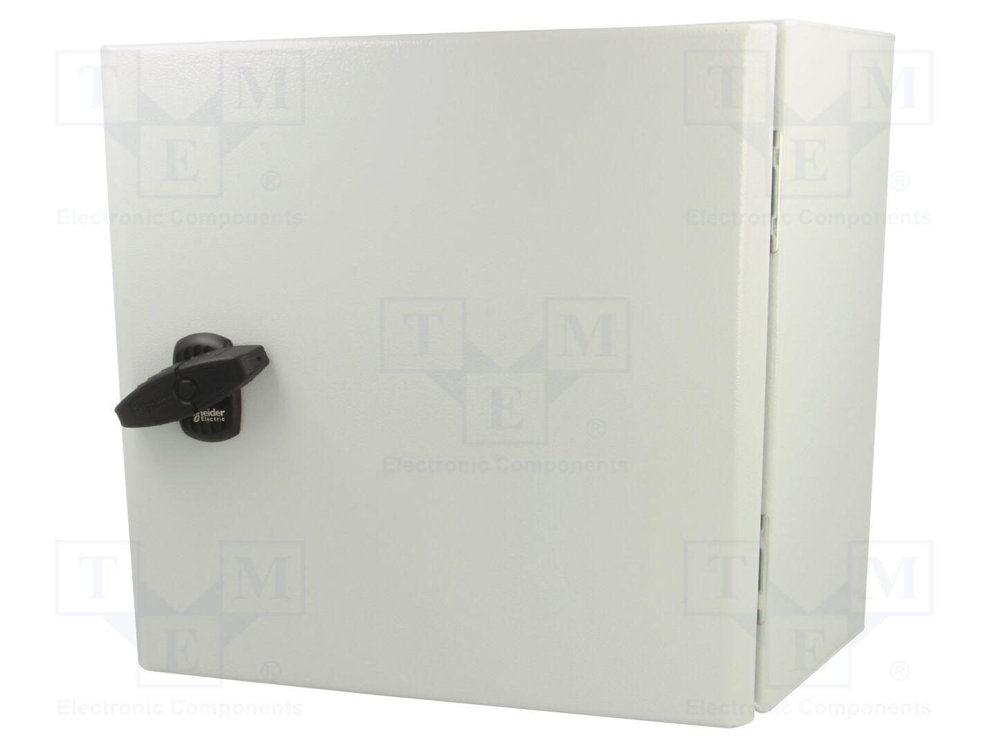 SCHNEIDER ELECTRIC NSYS3D3315P Seinäkaappi 300x300x150mm