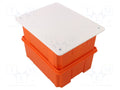 PAWBOL PW-R.8147 Jakorasia 165x10x210 mm